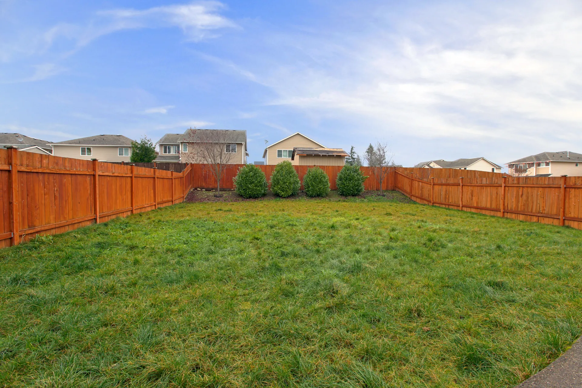 Stained cedar privacy fence with backyard shrubs